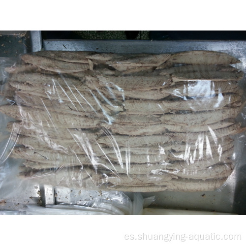 HACCP Bigeye Bonito TUNA ALBACURE LOINS VACUUM PACK
